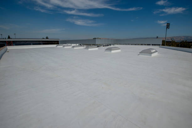 Roof Insulation in Cass City, MI