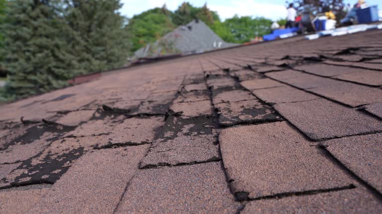 Best Roof Installation  in Cass City, MI