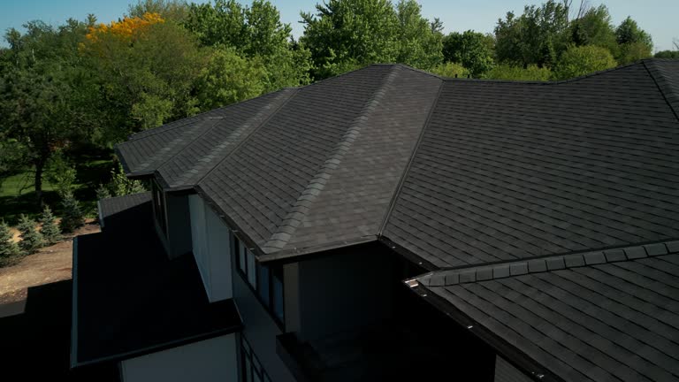 Best Gutter Installation and Repair  in Cass City, MI