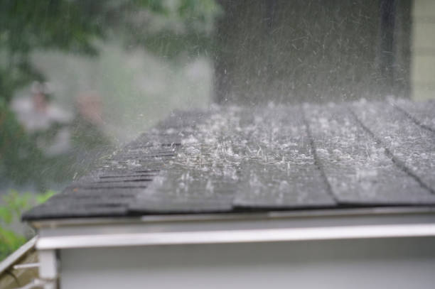 Best Commercial Roofing Services  in Cass City, MI